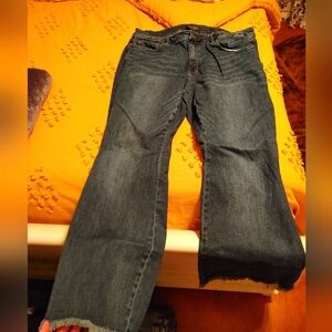 Judy Blue Flare Jeans Size 24